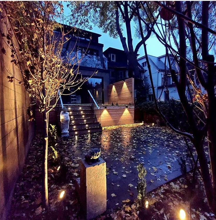 backyard lighting highlighting trees and stonework