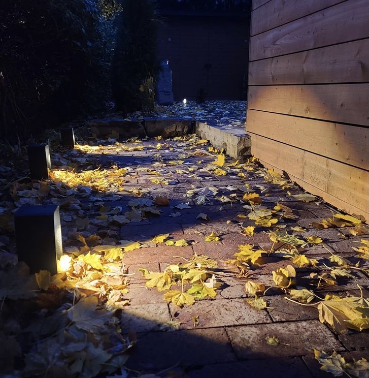 floor landscape lights to provide night access to backyard area