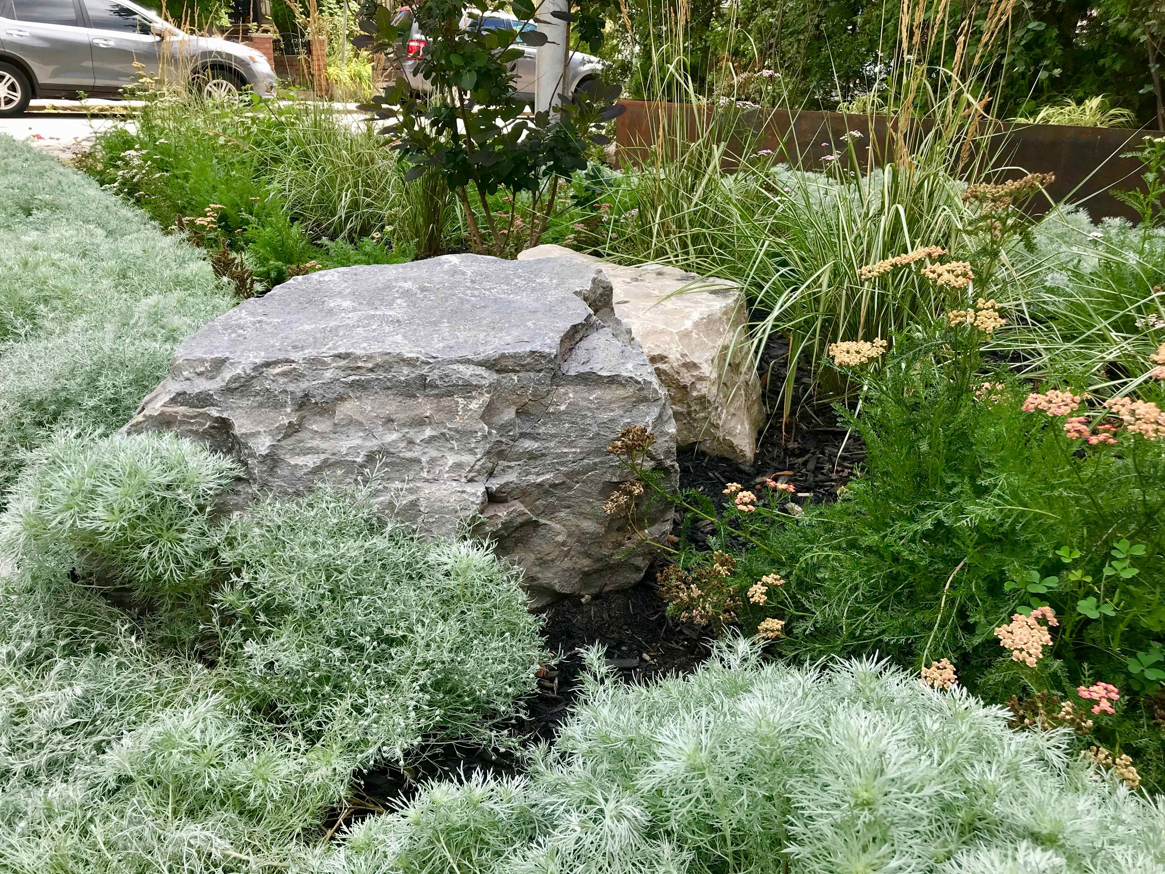 Natural Stone in native plant garden