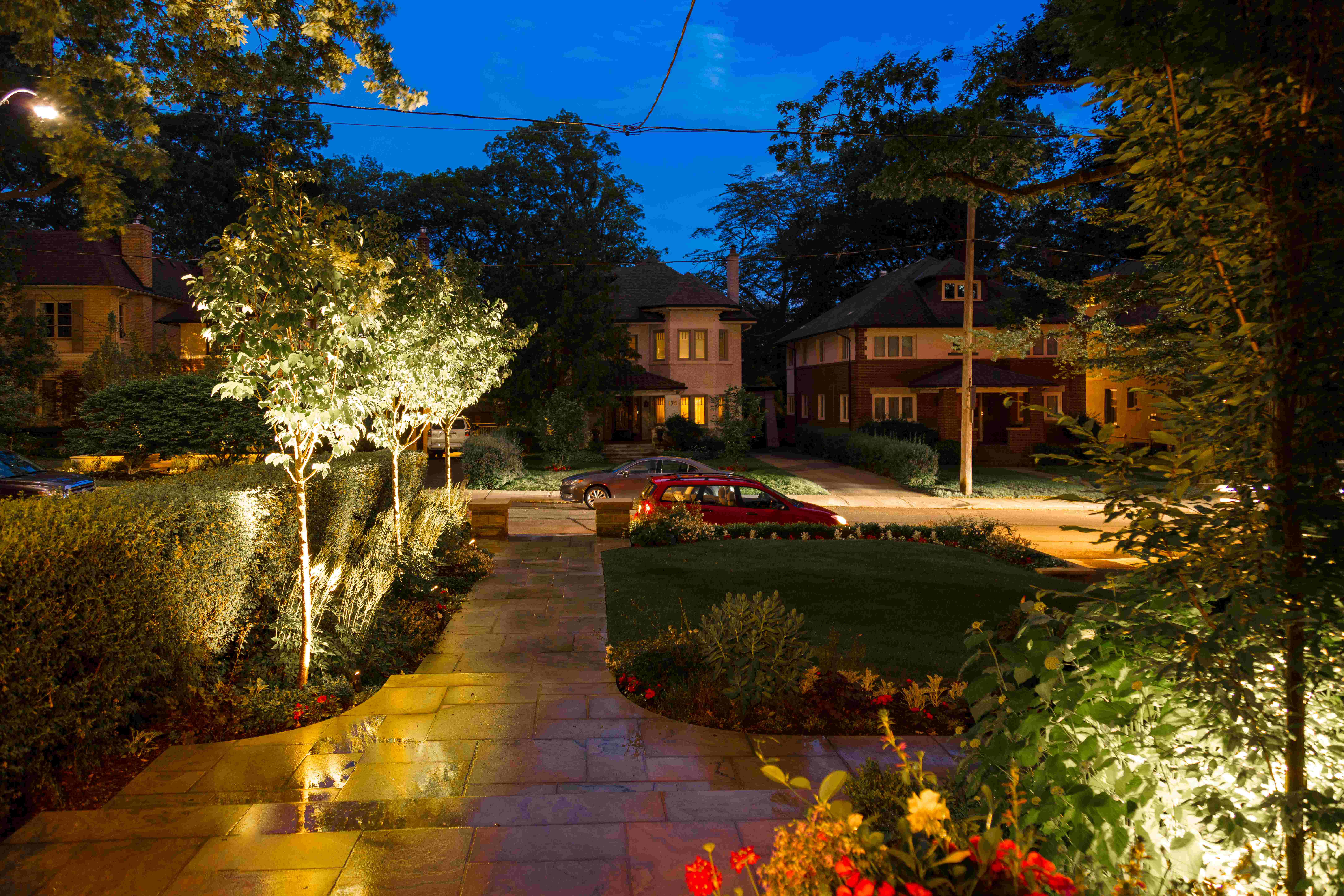 Landscape lighting illuminating small birch trees in a line and stone walkway 