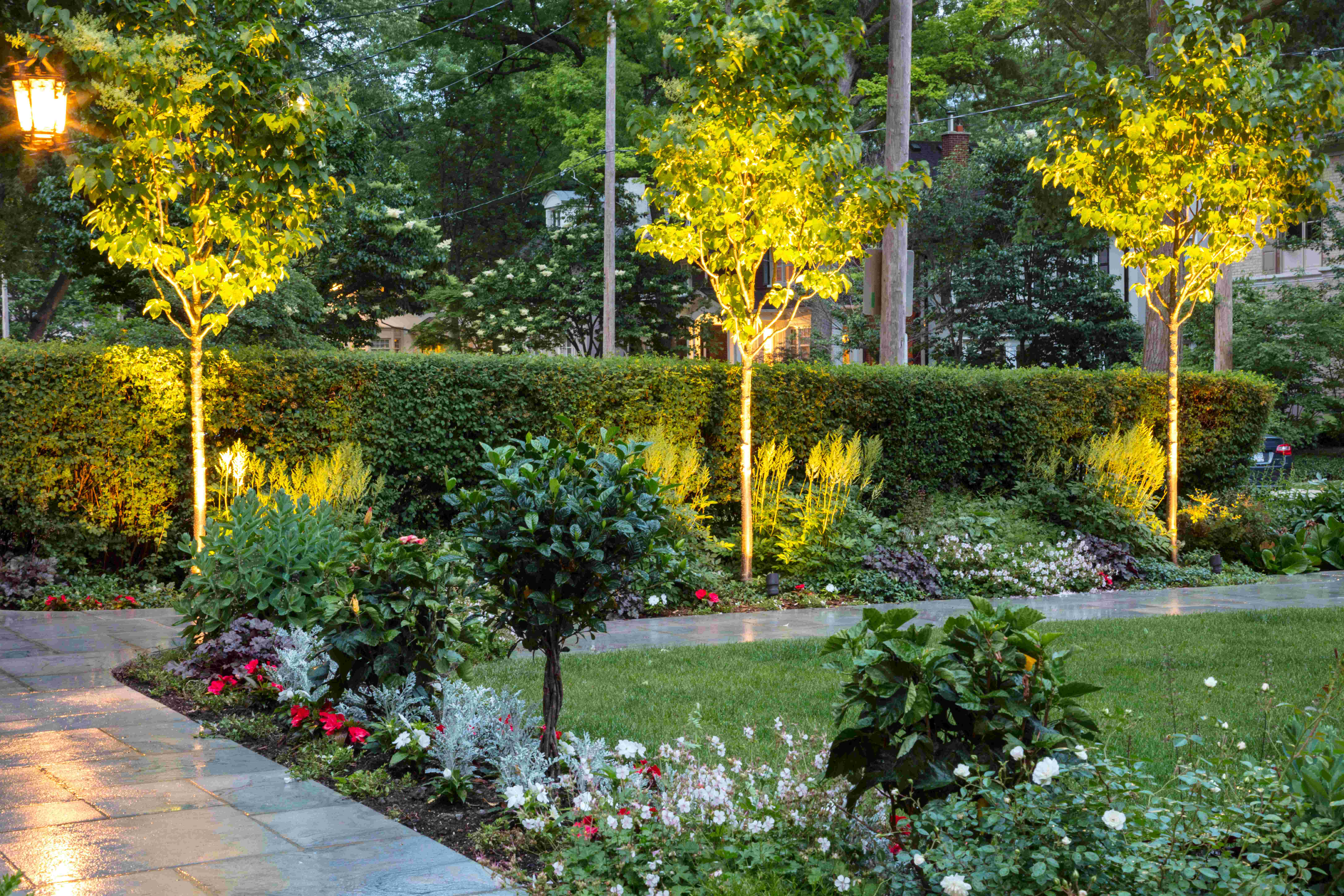 Garden Beds and small topiary style trees with landscape lighting just turned on