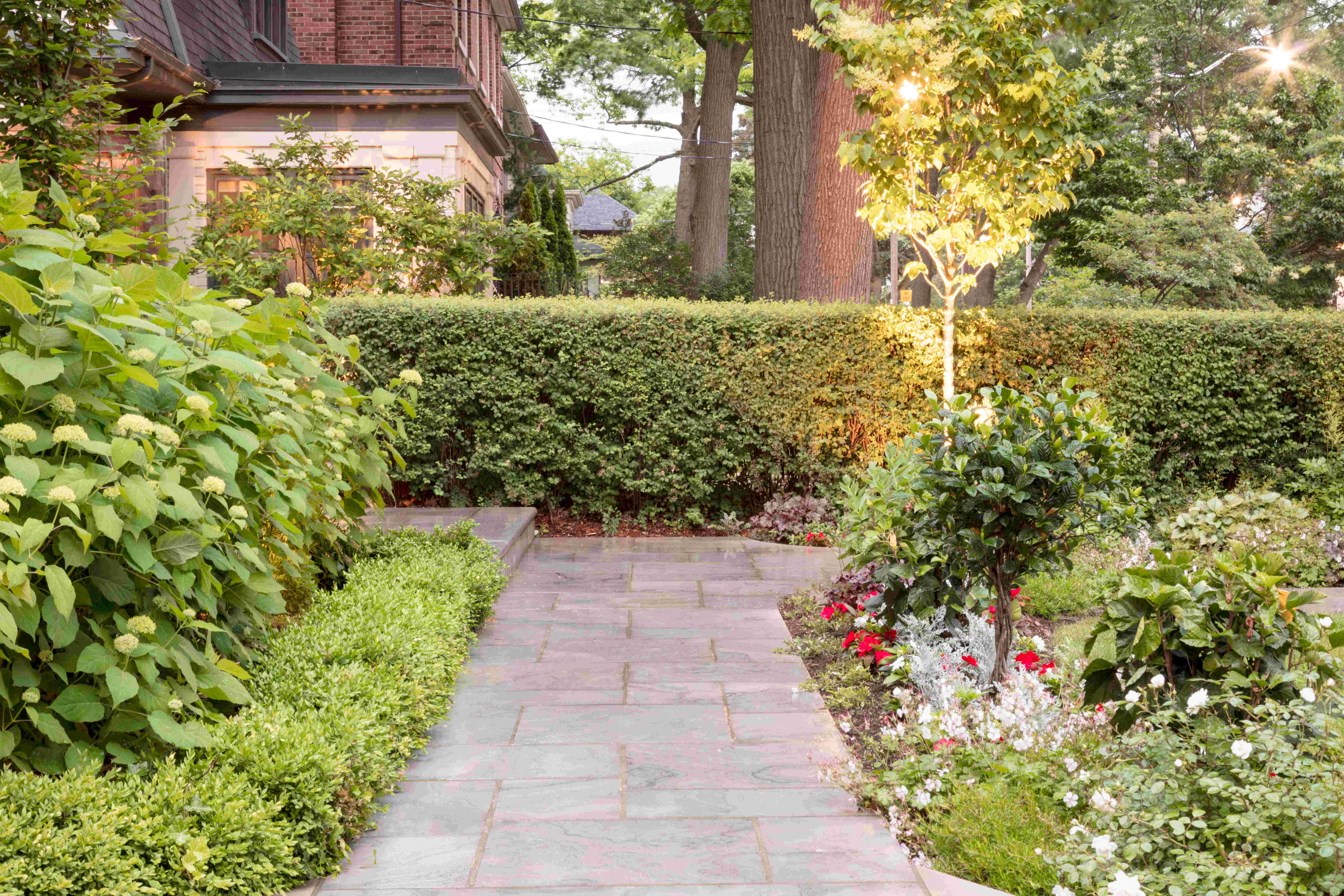 Stone Walkway leading up to hedge wall with gardens around