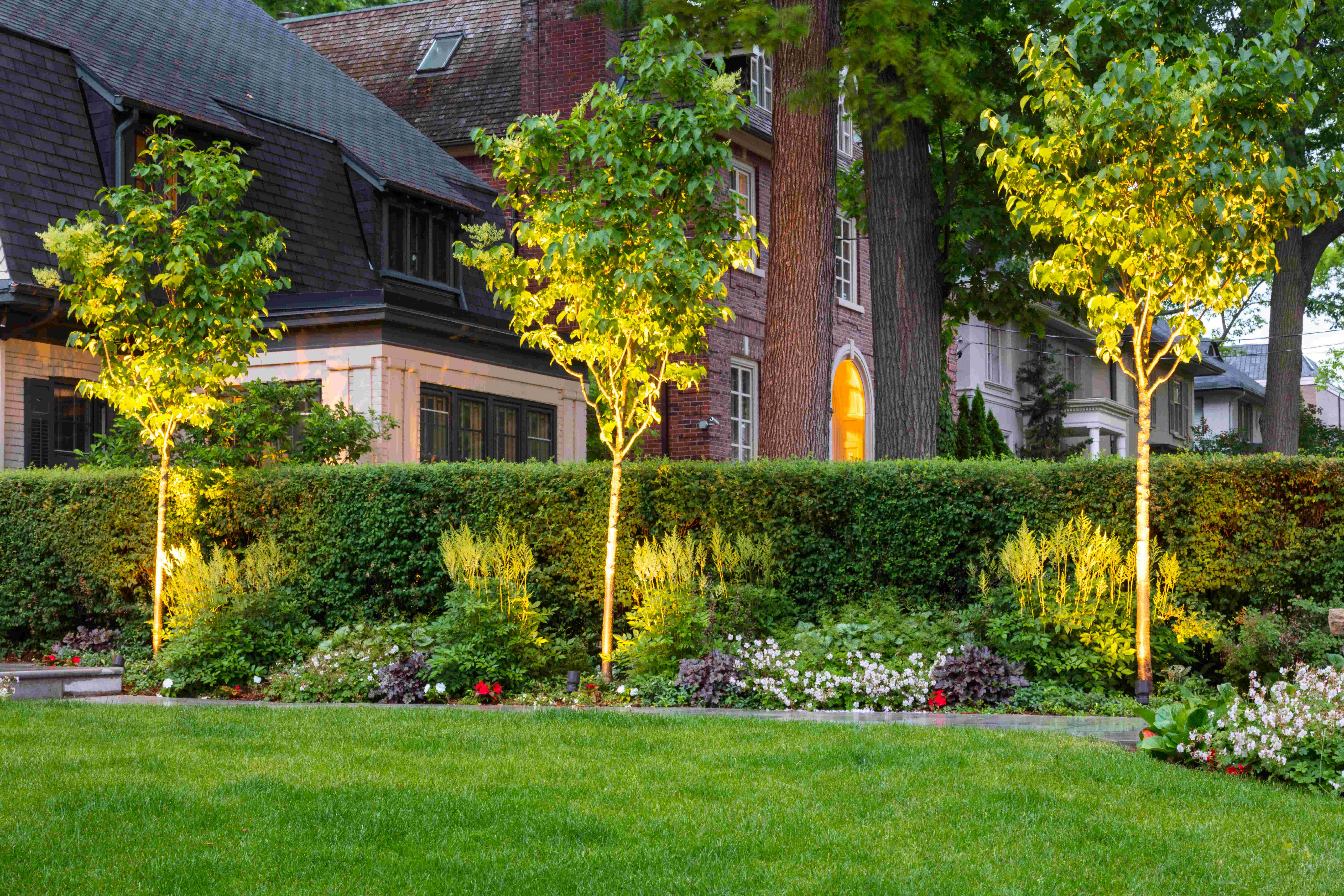 Gardens along hedge line