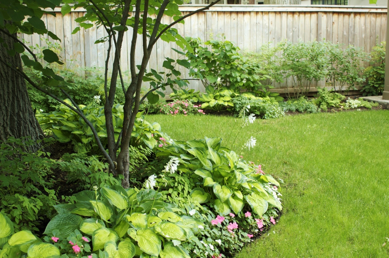 diverse ground coverage garden beds with trees