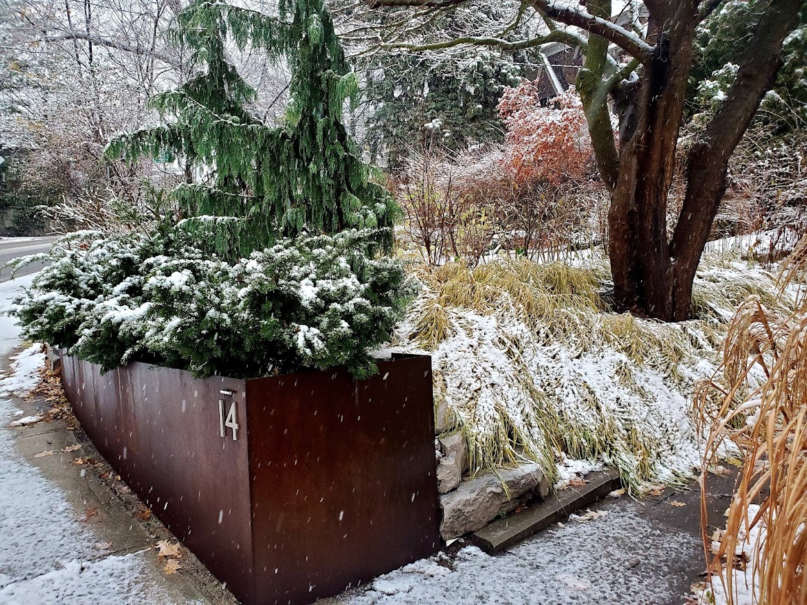 Winter photo of same plants and grasses