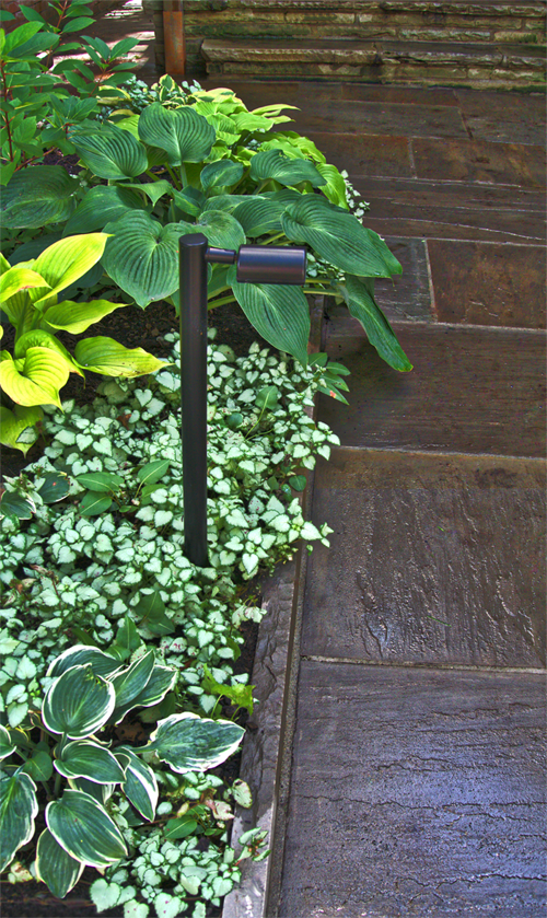 Stone work with ground coverage in planters and hostas