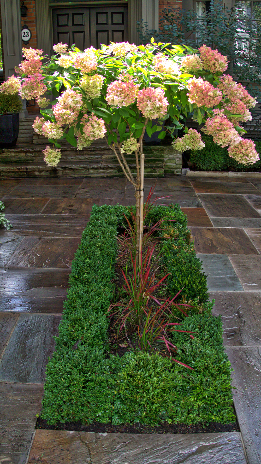 large standing tree in stand alone bed