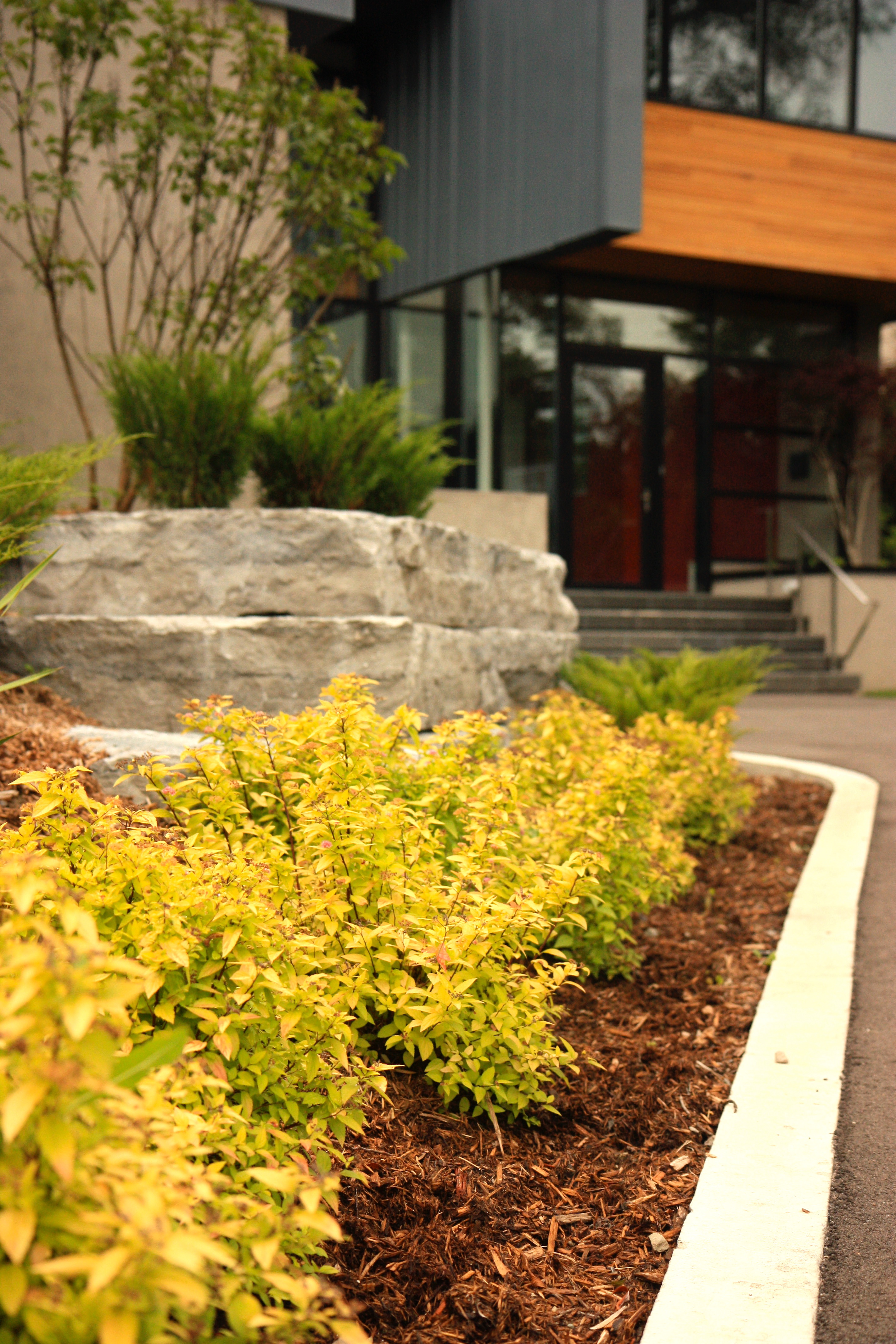 Brown Mulch Planters with green Perennails
