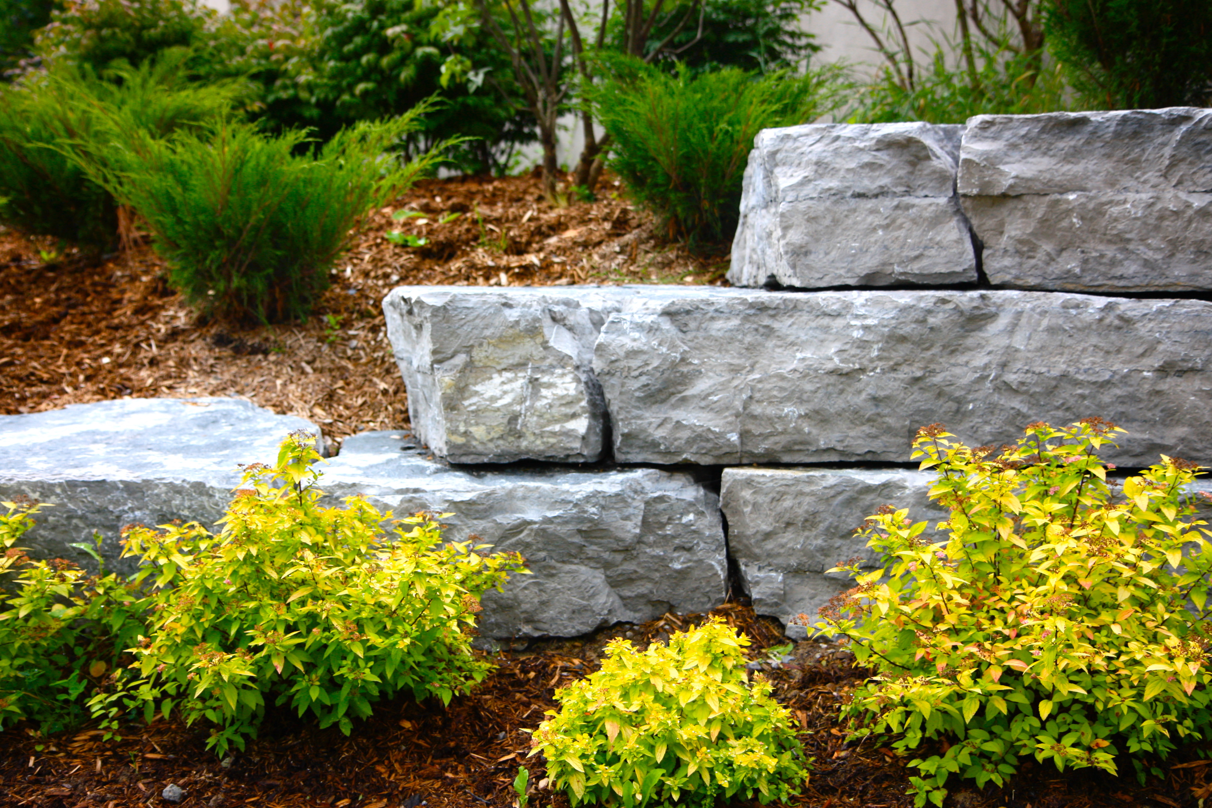 Natural stone wall separates gardens of different greens and yellows
