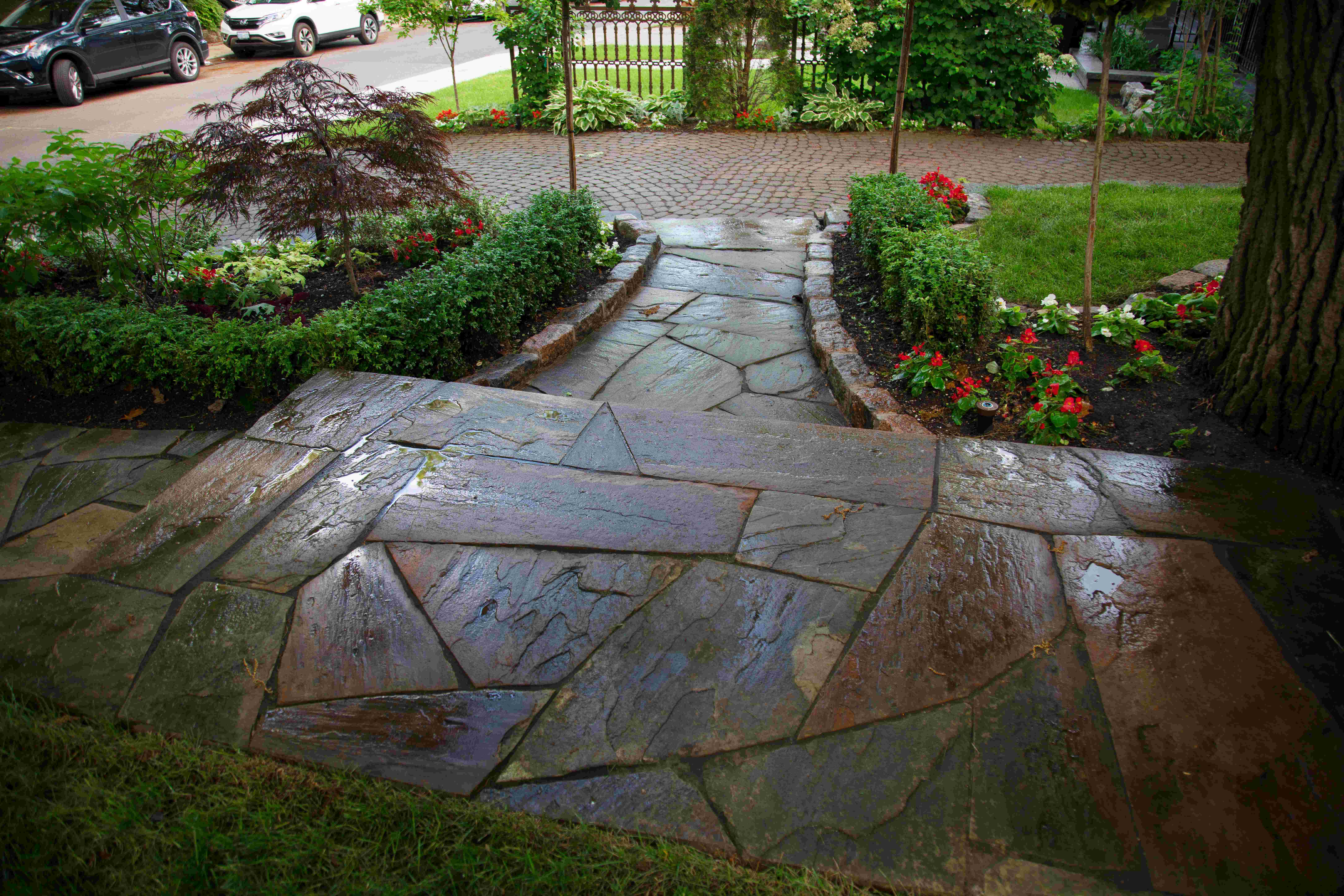 Stone steps leading down with garden beds on the left and right and a large tree in front