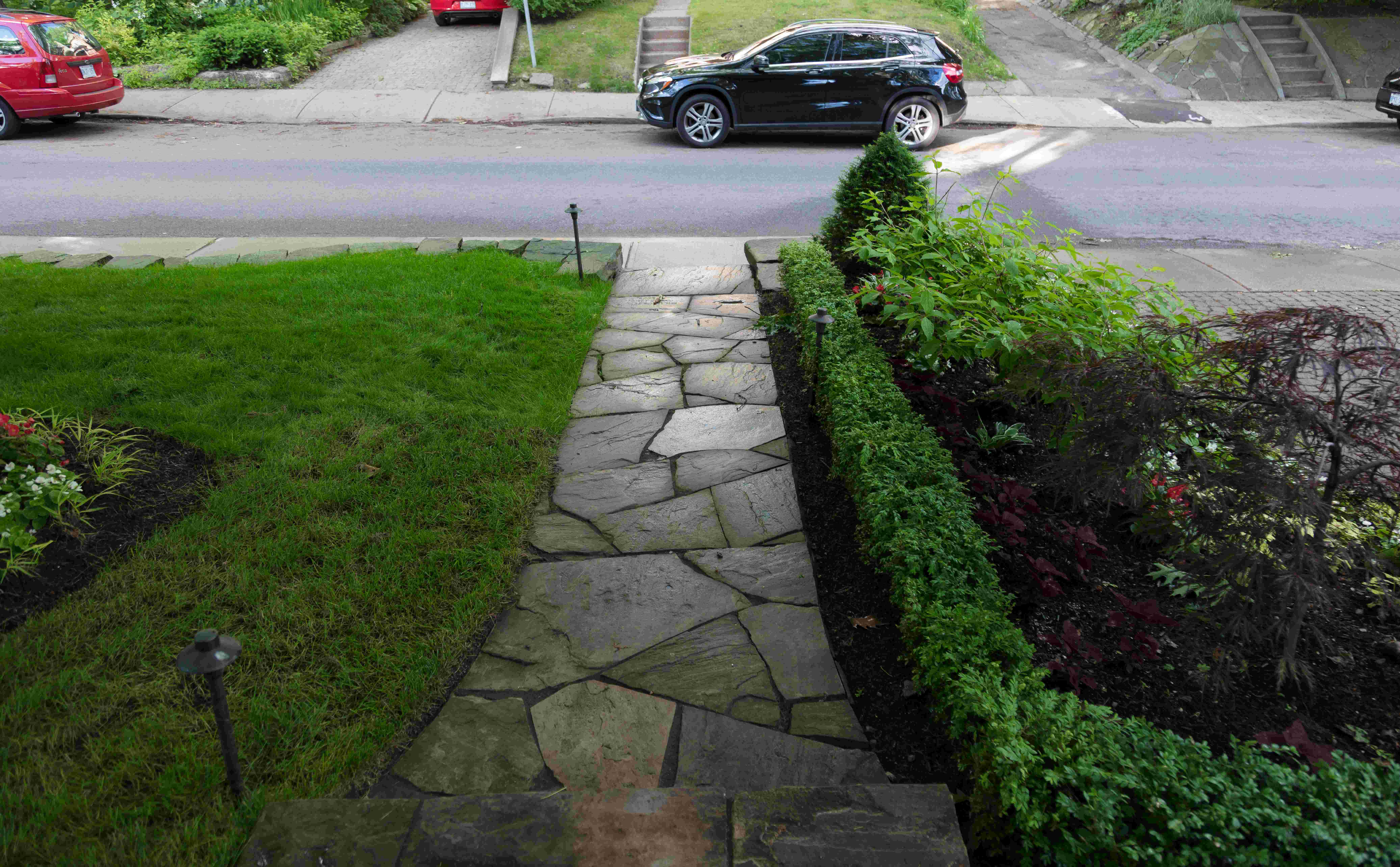 Walkway by garden hedges creates shapes and color match