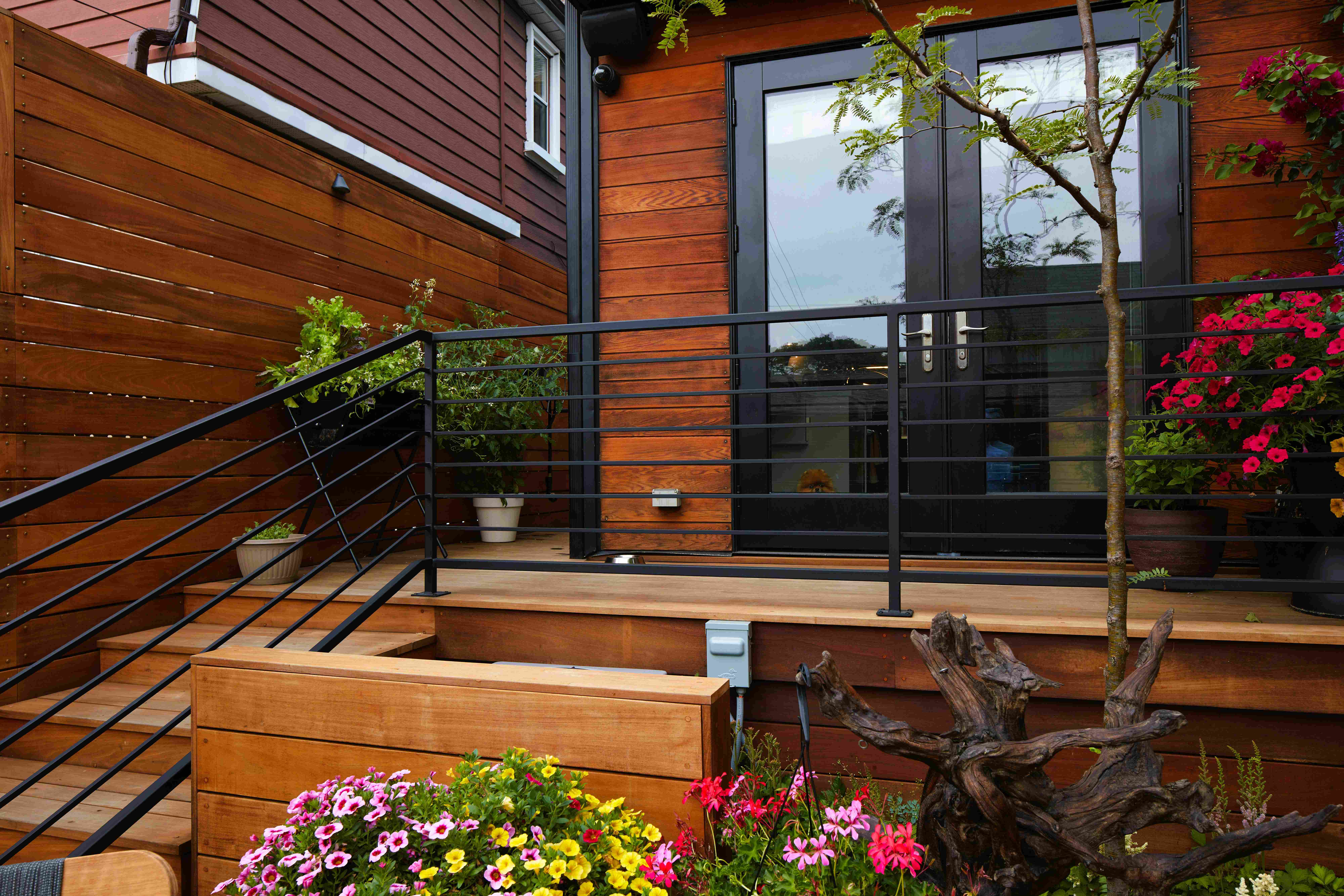 Beaconsfield Village Backyard design