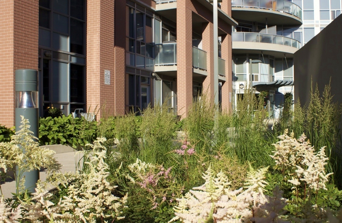 White green perennials garden beds 