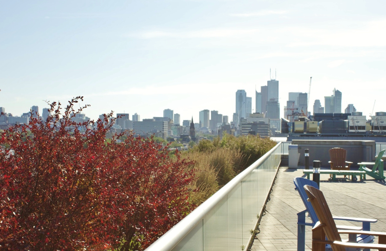 Rooftop patio also maintained by landcare