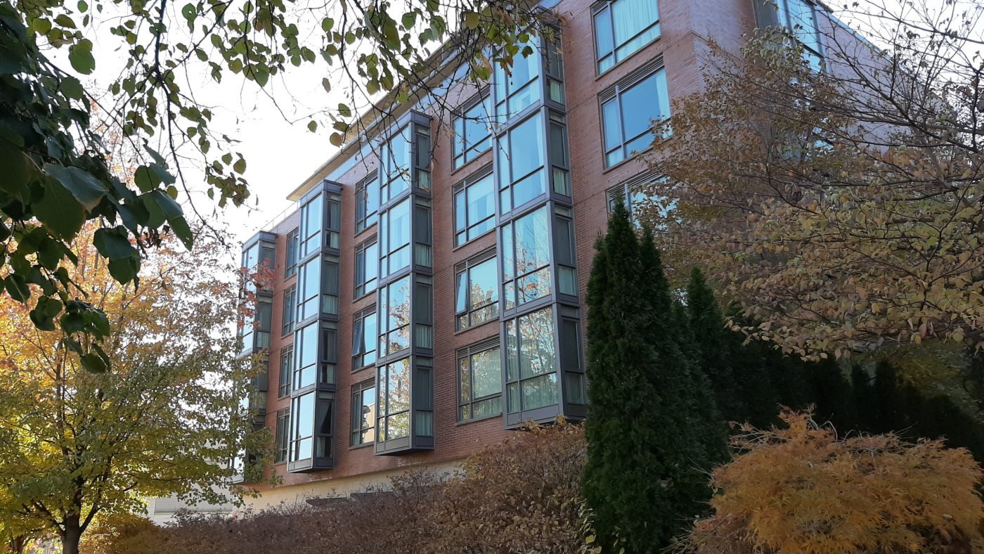 Back of the grounds showcasing beautiful trees and large planting spots