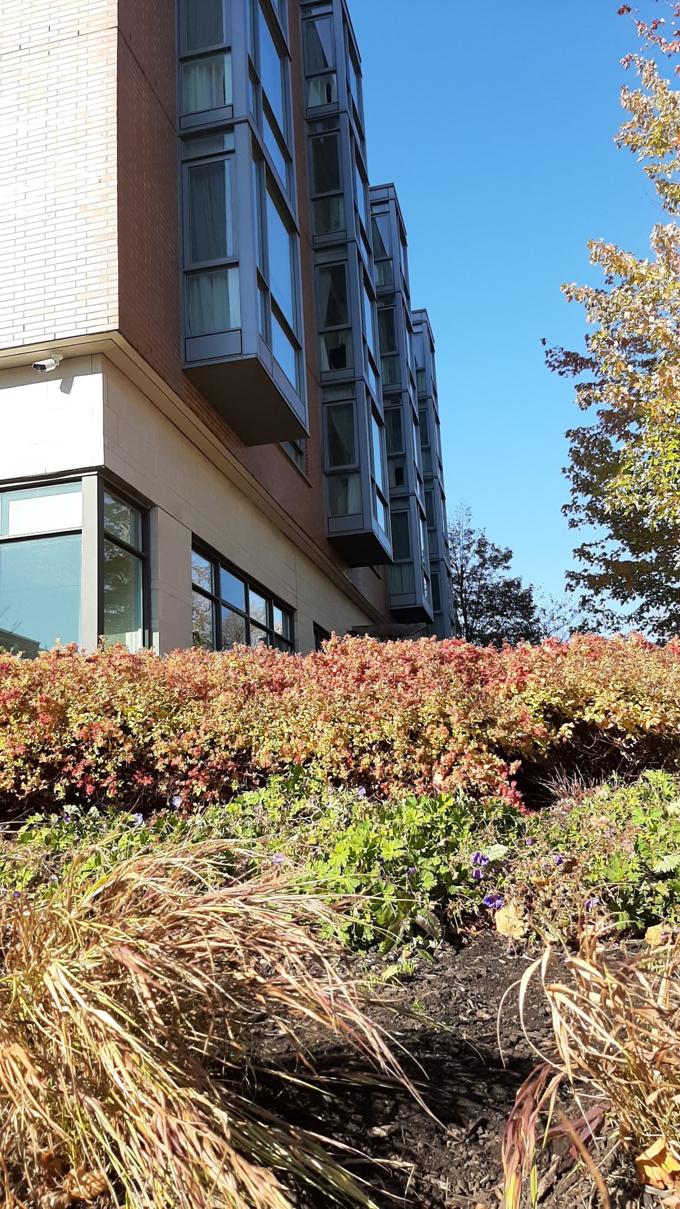 Vertical photo taken in fall showcasing the gardens