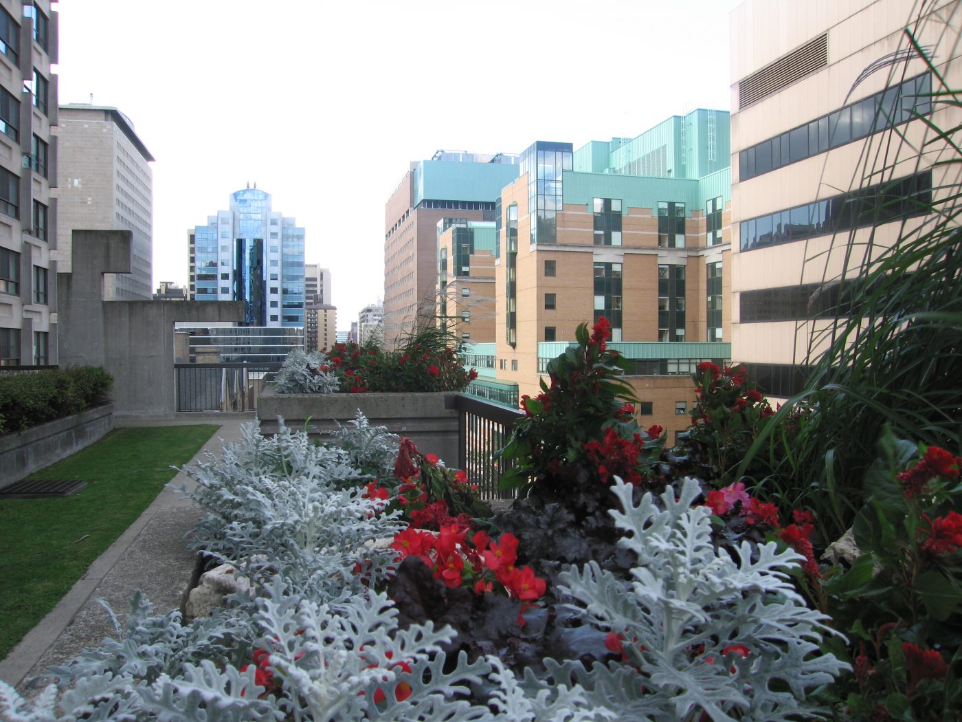 Elm Avenue Commercial Roof Top Maintenance