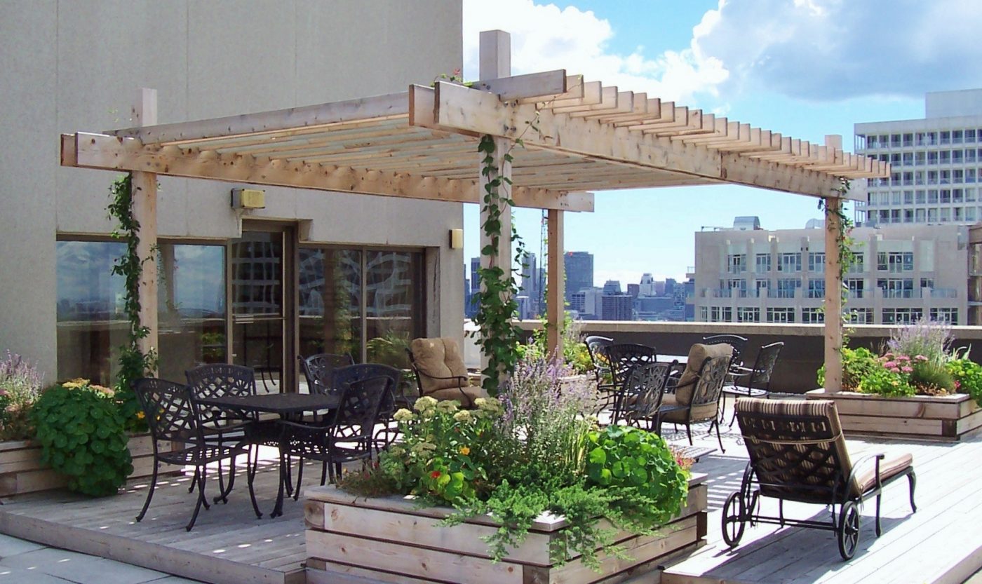 Walmer Rooftop with garden oasis underneath a custom landcare built pergola