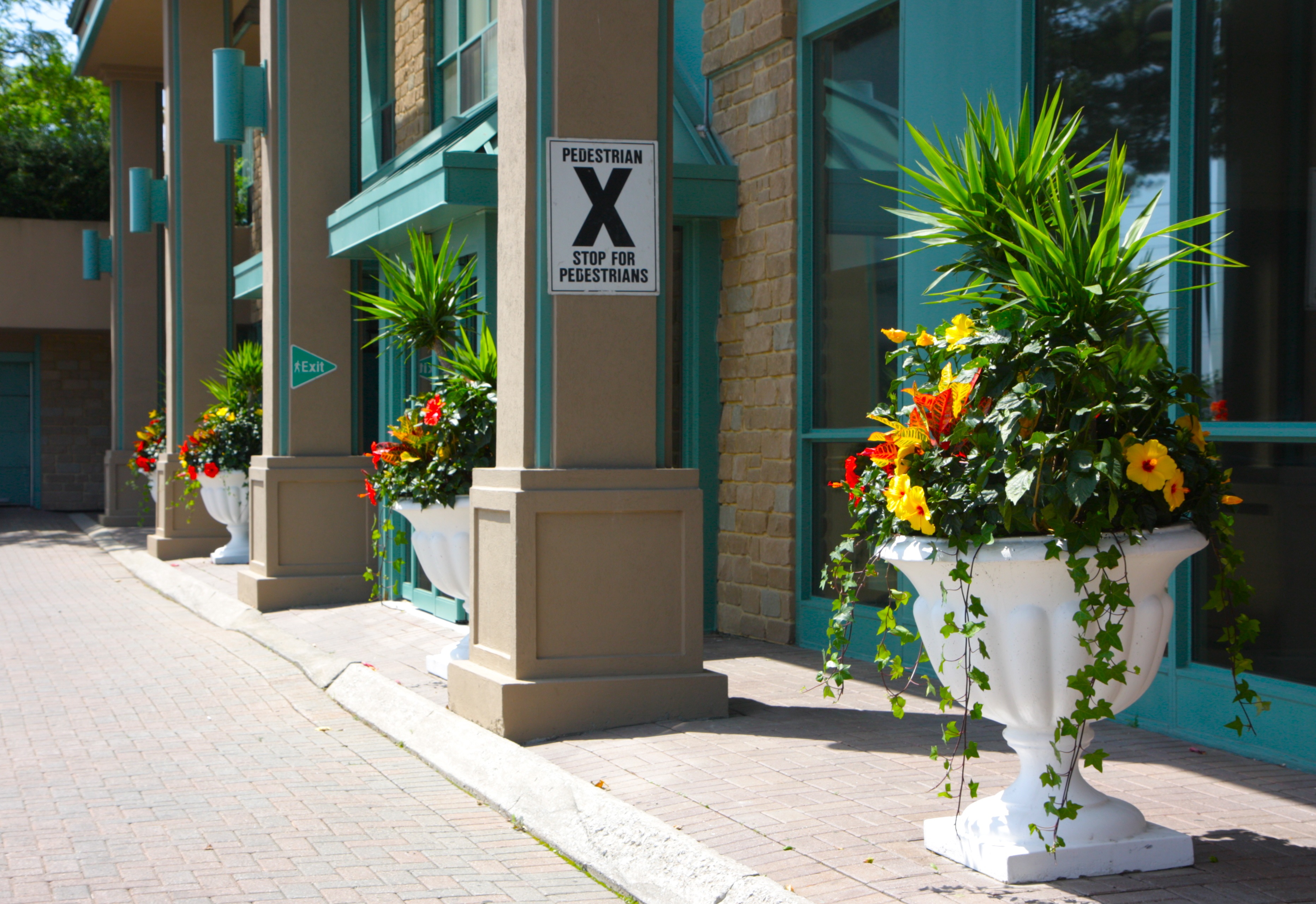 Zoomed in example of front door urns planted with annuals