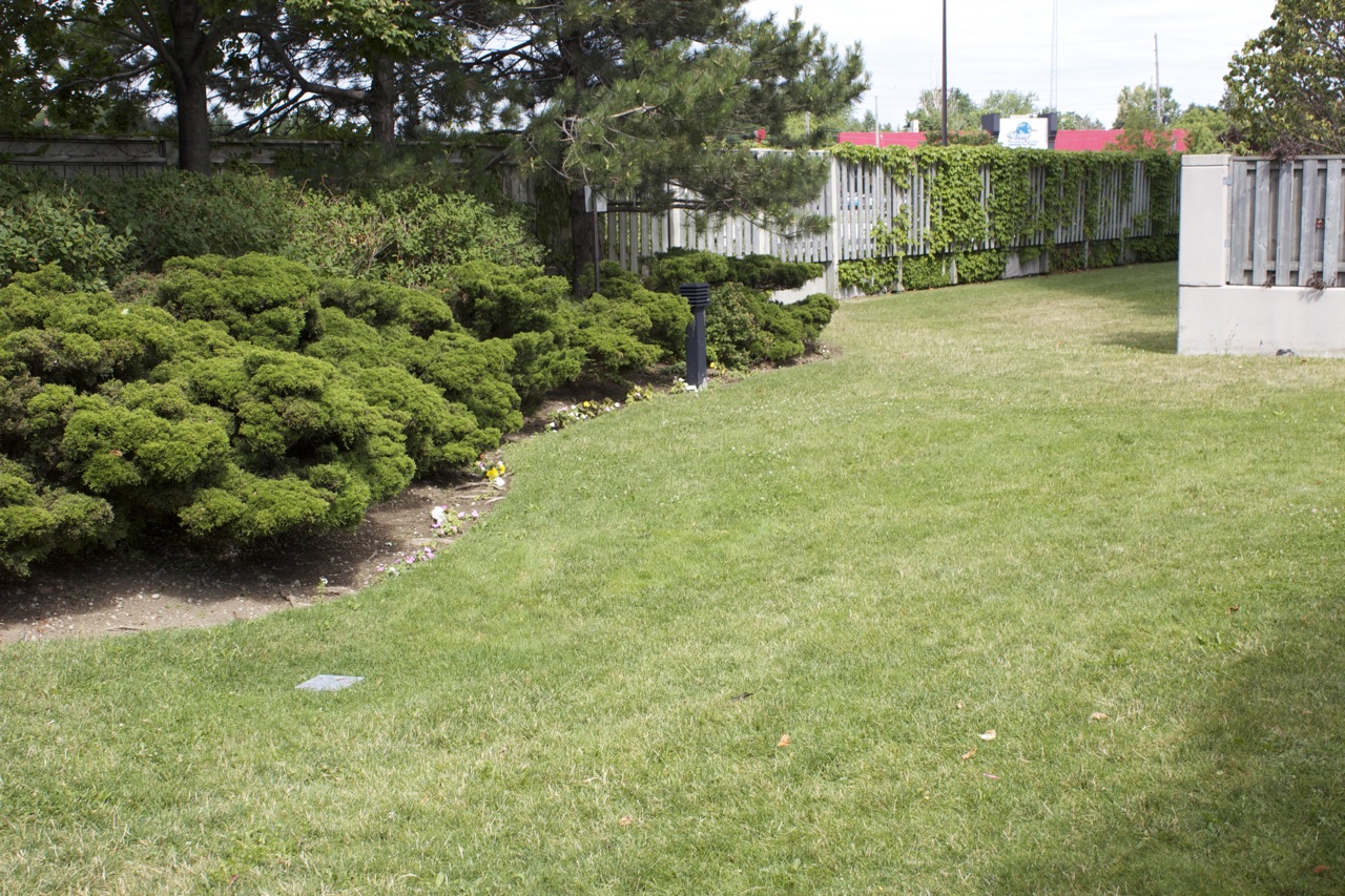Large Lawn Spaces with shrubs and evergreen plants