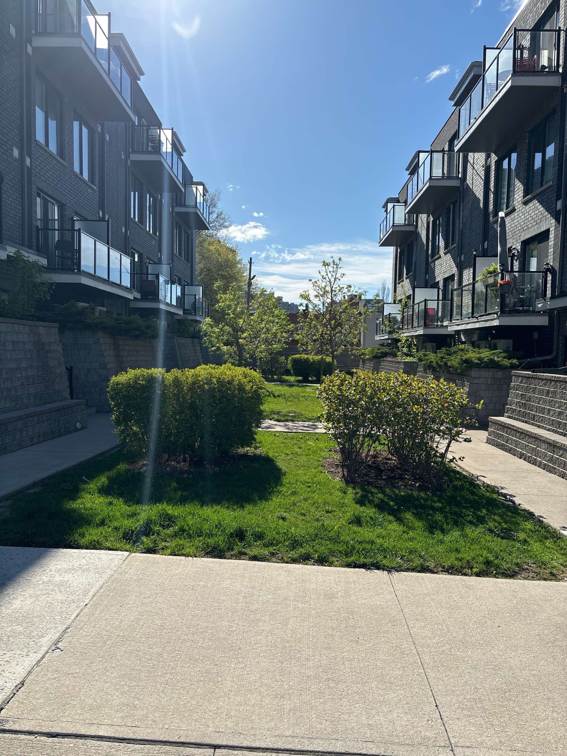 Recently trimmed and shaped hedges cut perfectly to match property aesthetic 