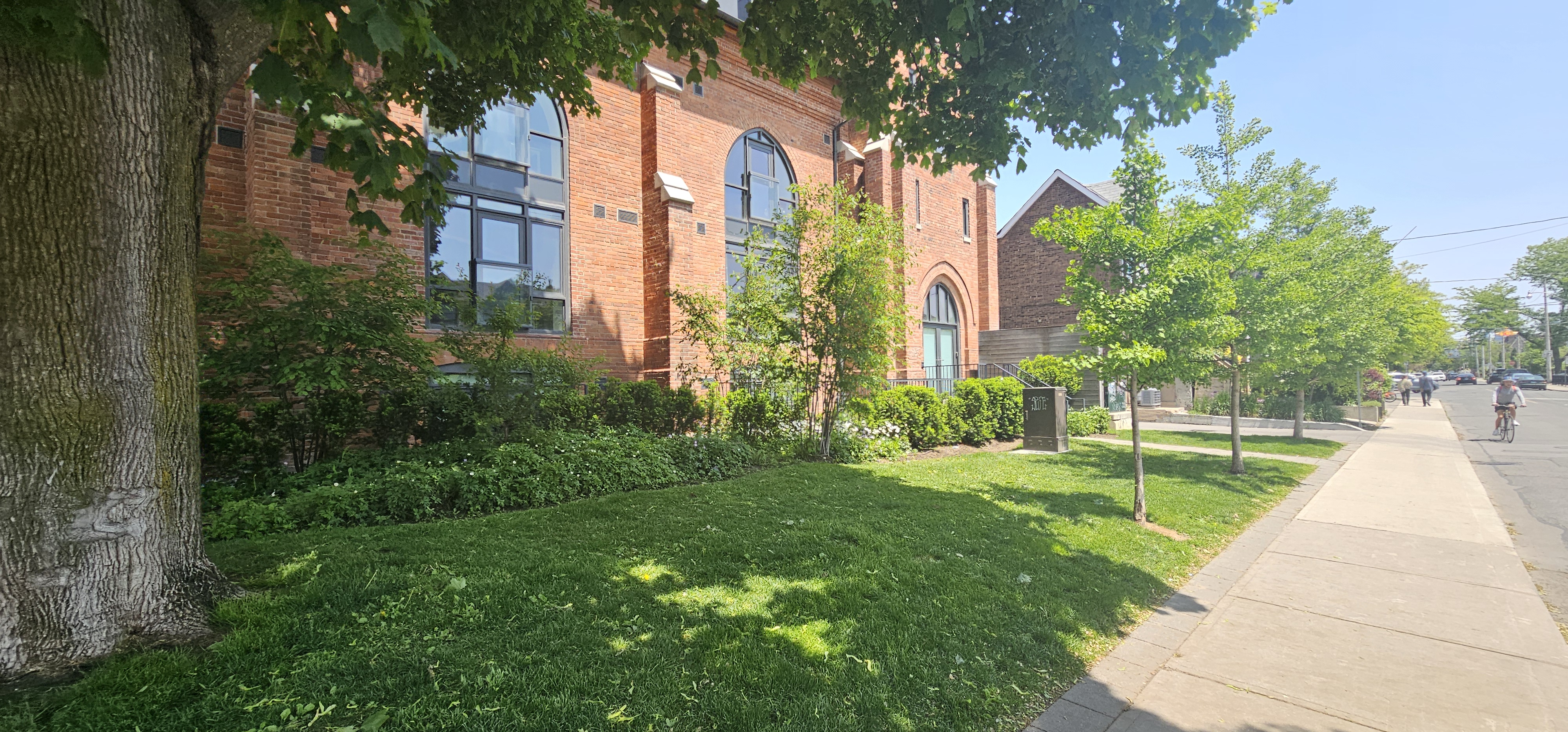 Shaded Lawn Space needing TD&OS + aeration