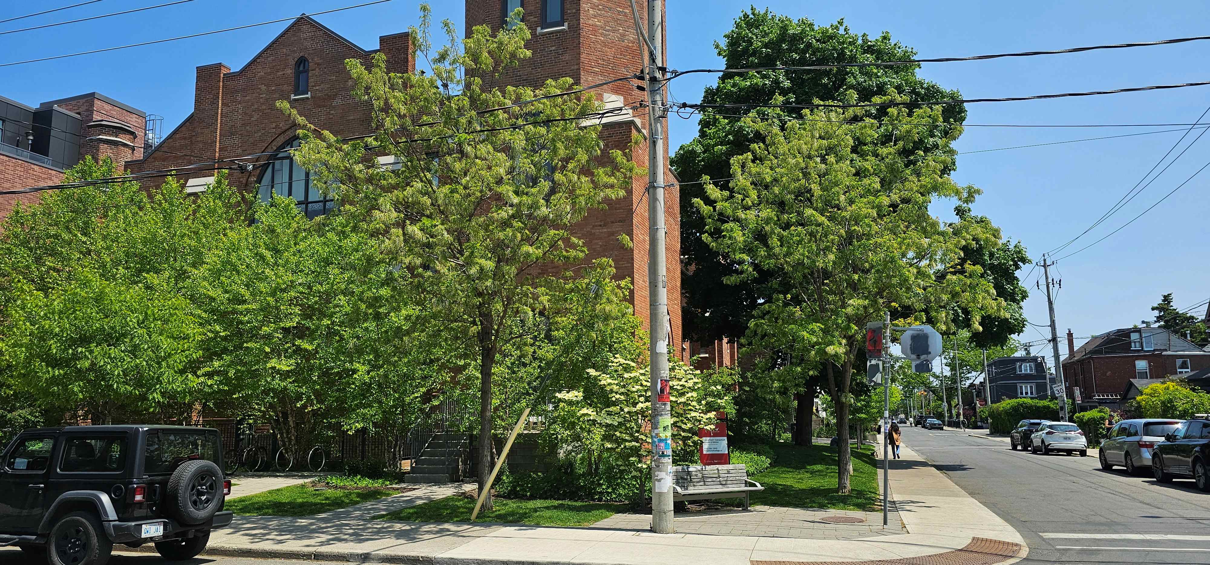 Full street view of commercial lot