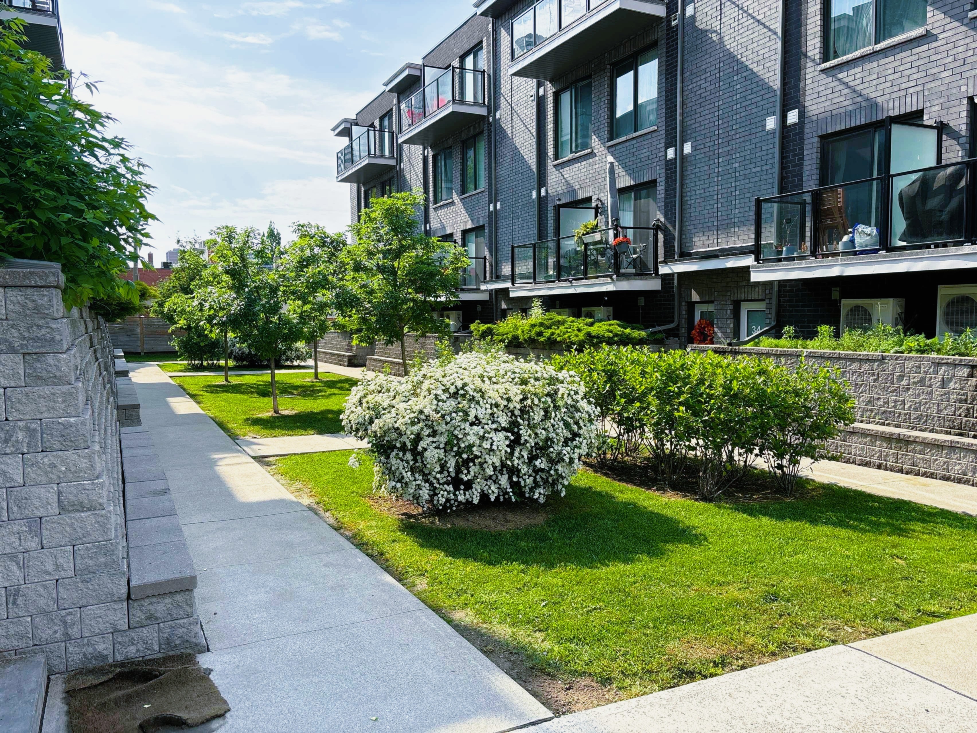 Weston Commercial Town Homes