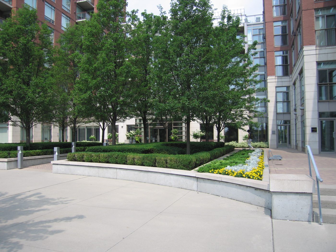Large standing planters that contain boxwood around the edges with trees planted within them