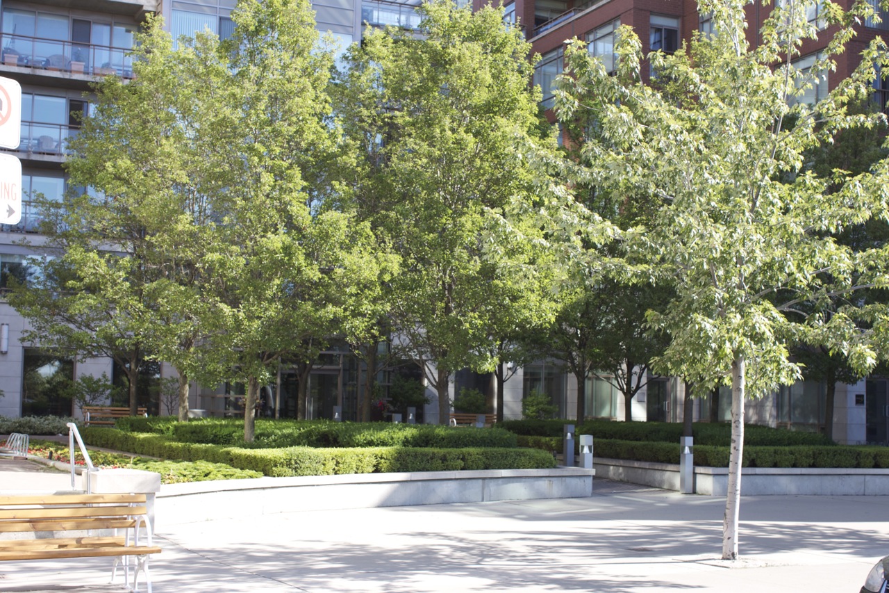 Outdoor commercial lighting around buildings pathway