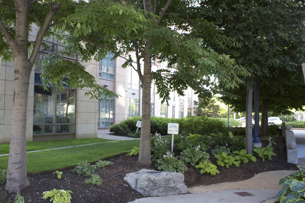 extensive commercial property garden beds