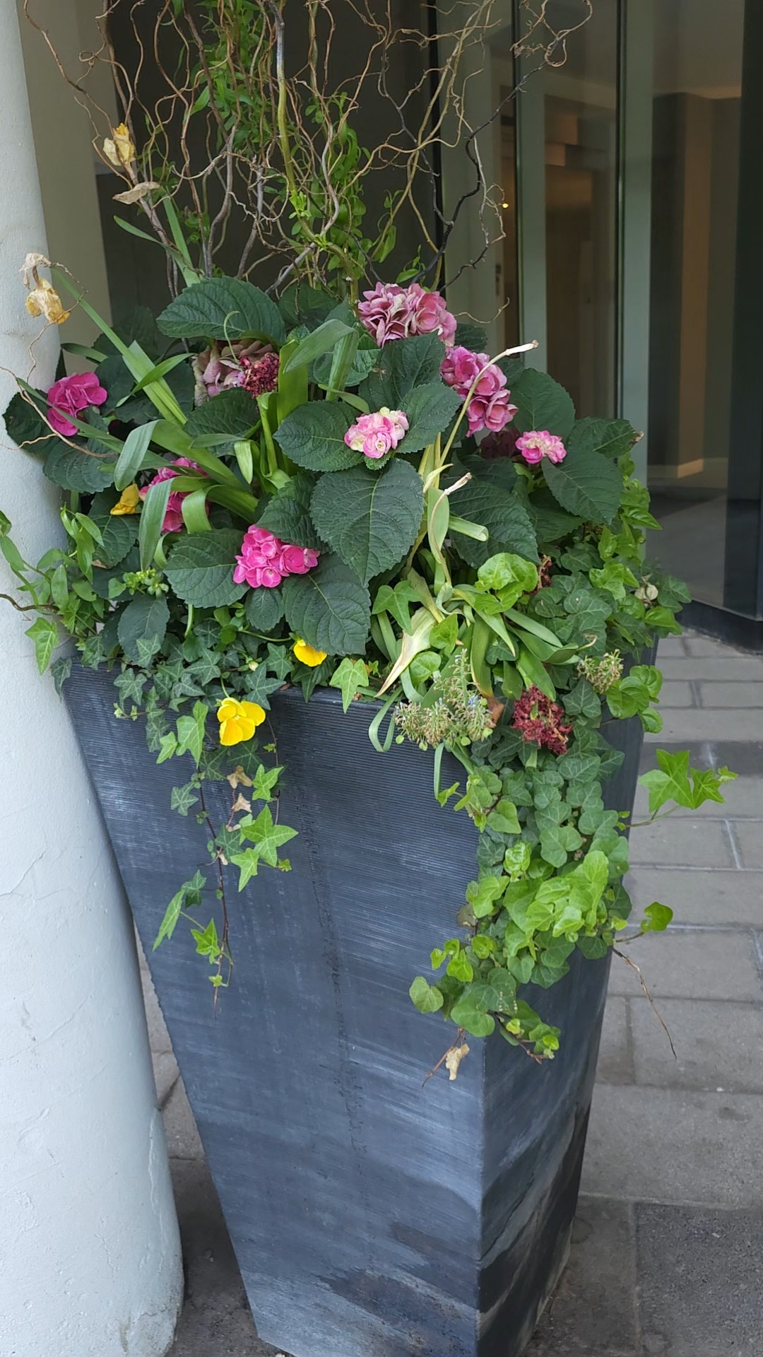 Summer Annuals planted in tall standing Urn