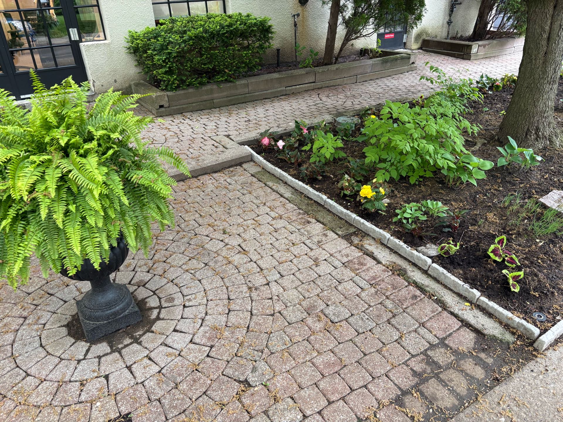 Large Fern Urns on left side of property