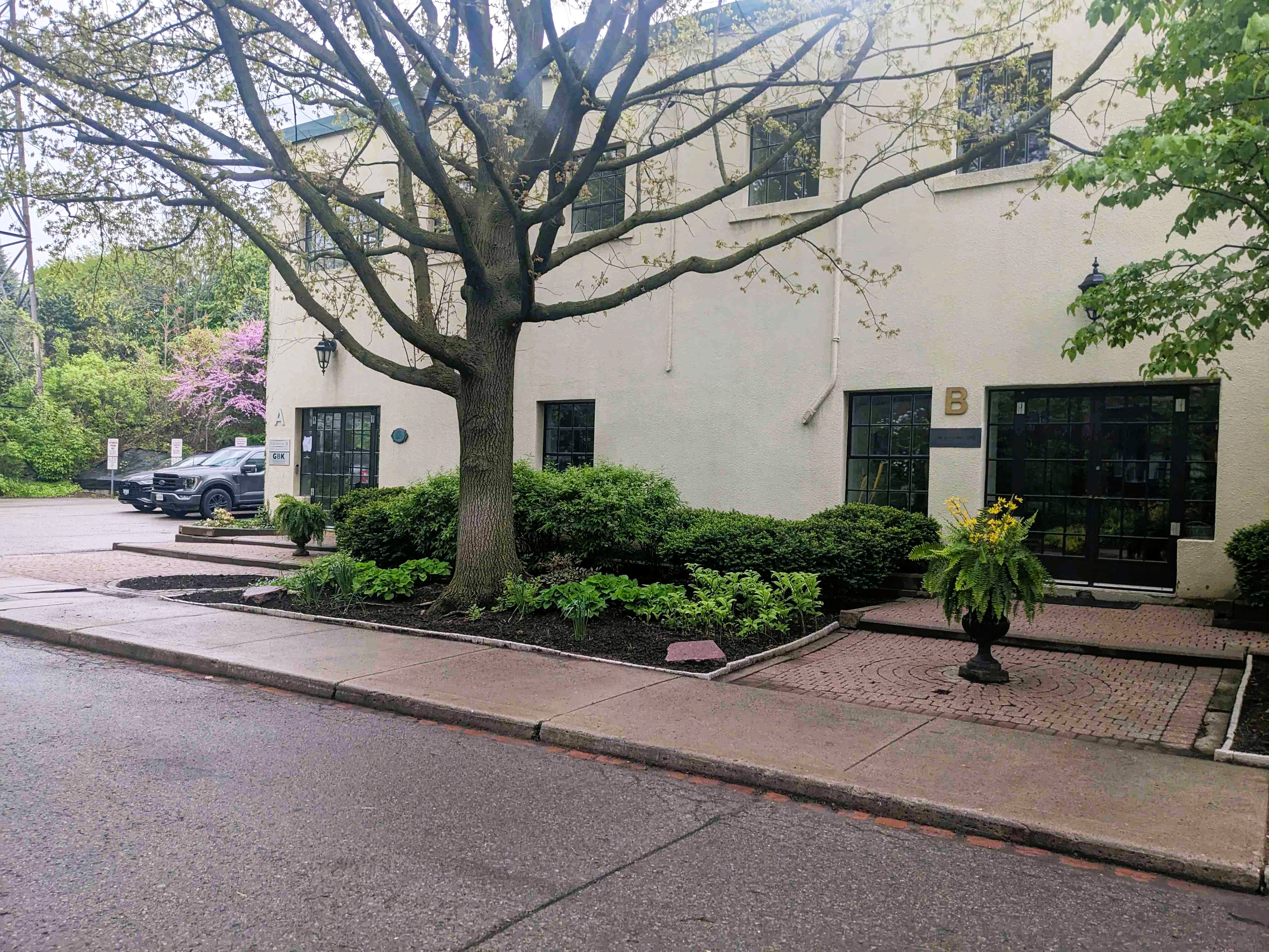 Large tree with beds around it