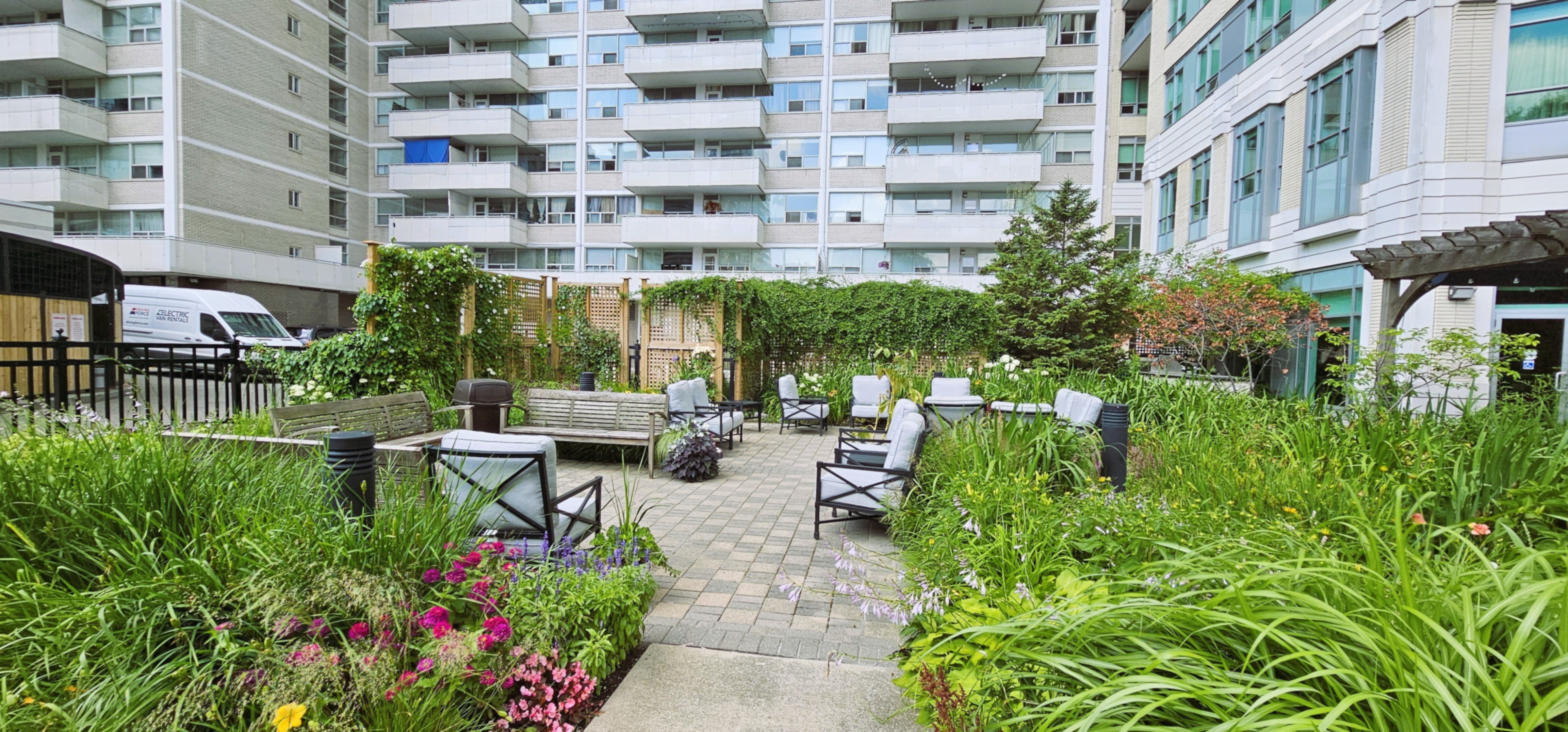 Garden Beds with large grasses 