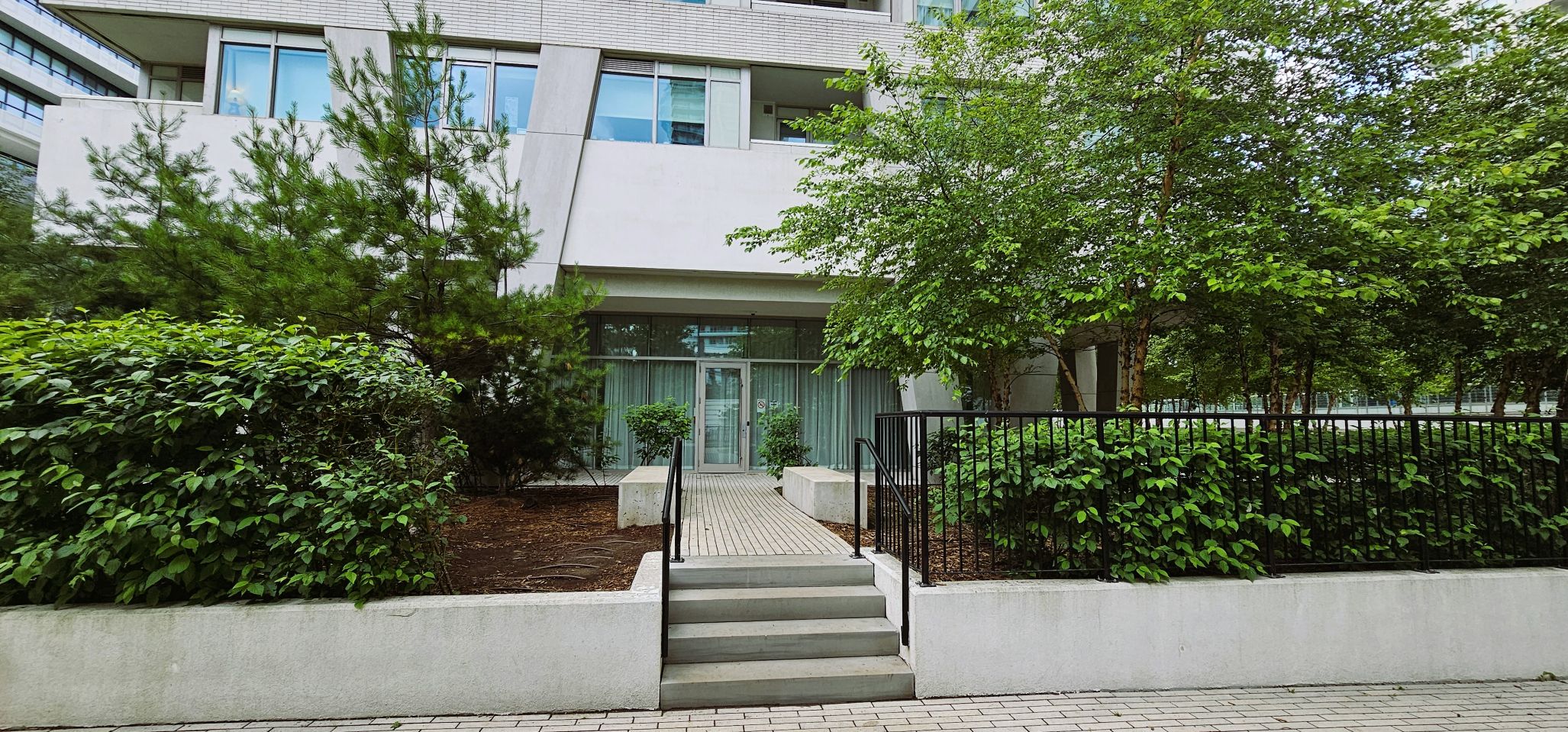 Walkway with hedges on either side