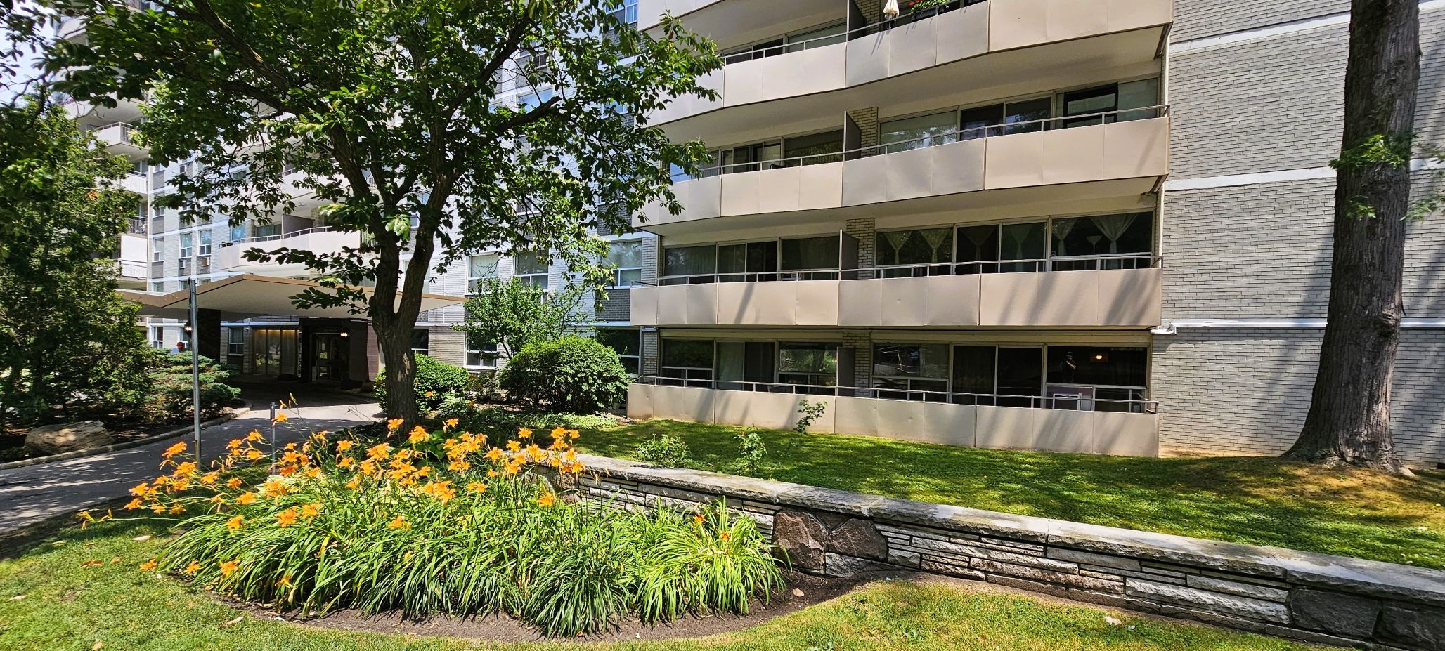 side property garden beds